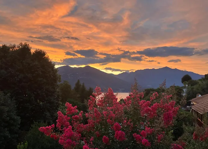 Casa Azalea * 勒威诺